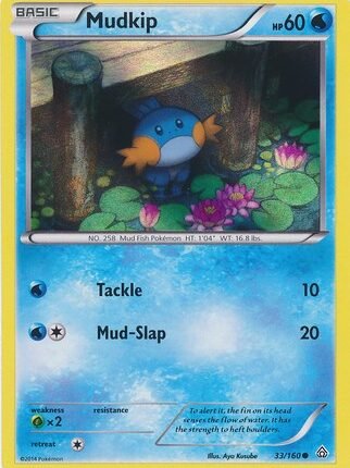 Mudkip - 33/160 (Sheen Holo) [MCAP - 033/160]