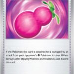 Payapa Berry [SCR - 141/142]