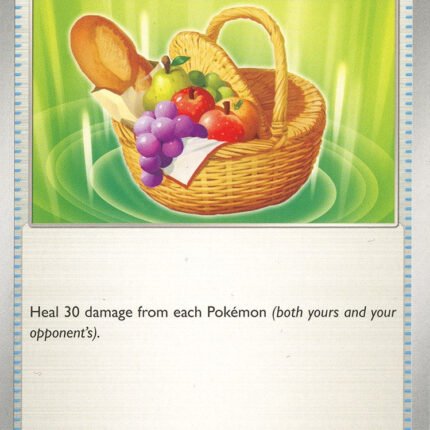 Picnic Basket [SVI - 184/198]