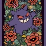 Pokemon Center Japan Exclusive Card Sleeves - Premium Gengar