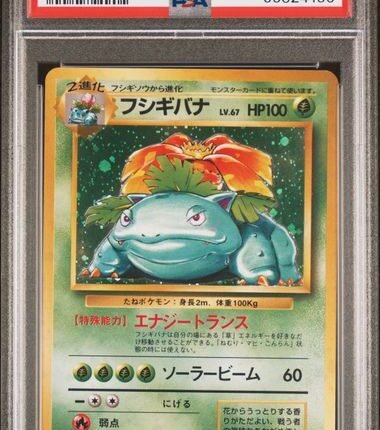 Pokemon TCG Graded Card: 1996 Venusaur Holo Japanese #3 PSA 10
