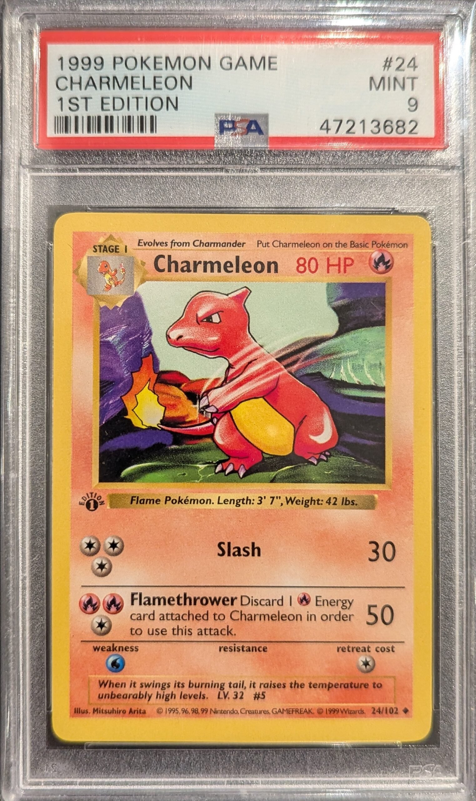 Pokemon TCG Graded Card: 1999 Charmeleon 1st Edition #24 English PSA 9 Pokemon TCG Graded Card: 1999 Charmeleon 1st Edition #24 English PSA 9