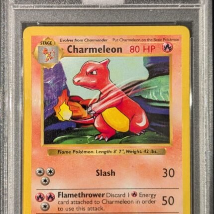 Pokemon TCG Graded Card: 1999 Charmeleon Shadowless #24 English PSA 9 [2]
