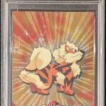 Pokemon TCG Graded Card: 2000 Arcanine TV #059 English PSA 9