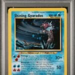 Pokemon TCG Graded Card: 2001 Shining Gyarados English #65 PSA 9