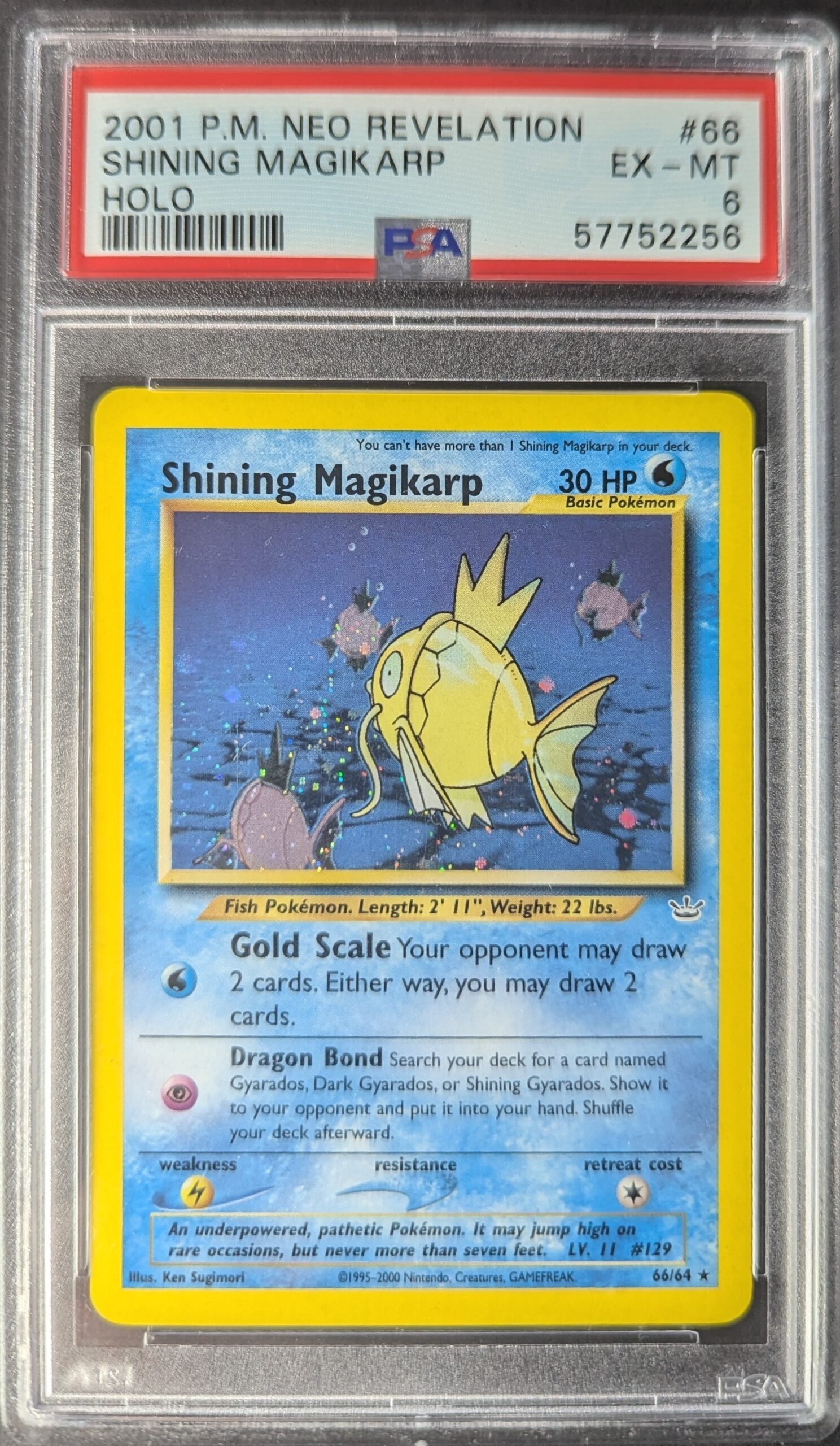 Pokemon TCG Graded Card: 2001 Shining Magikarp English #066 PSA 6 Pokemon TCG Graded Card: 2001 Shining Magikarp English #066 PSA 6