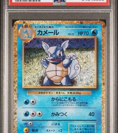 Pokemon TCG Graded Card: 2023 Wartortle Japanese #002 PSA 10