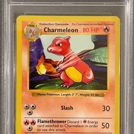 [SOLD] Pokemon TCG Graded Card: 1999 Charmeleon Shadowless #24 English PSA 9