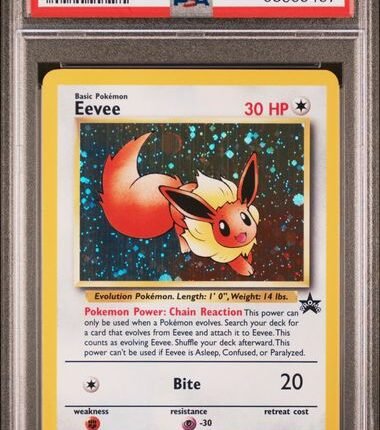 [SOLD] Pokemon TCG Graded Card: 2000 Eevee #011 English PSA 8
