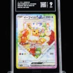 [SOLD] Pokemon TCG Graded Card: 2024 Eevee ex Japanese #224 TAG[X] 9