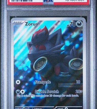 [SOLD] Pokemon TCG Graded Card: 2024 Zorua English #075 PSA 10