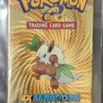VintagePack: 2003 EX Sandstorm (Shiftry)